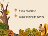 小学语文 五年级 第五单元17《松鼠》第一课时 教学课件
