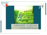 小学语文 五年级下册  第一单元1《古诗三首》第1课时  四时田园杂兴 教学 课件