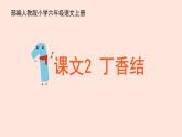 人教部编版语文六上：第2课《丁香结》课件
