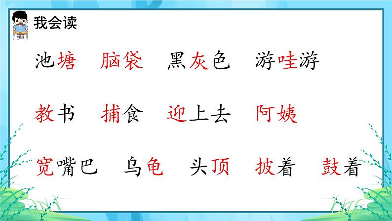 二年级上册 语文1.《小蝌蚪找妈妈》第一课时 课件第5页