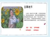 人教版三年级《名字里的故事》课件