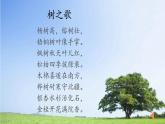 二年级上册语文 2.《树之歌》第二课时 课件