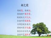 二年级上册语文 2.《树之歌》第二课时 课件