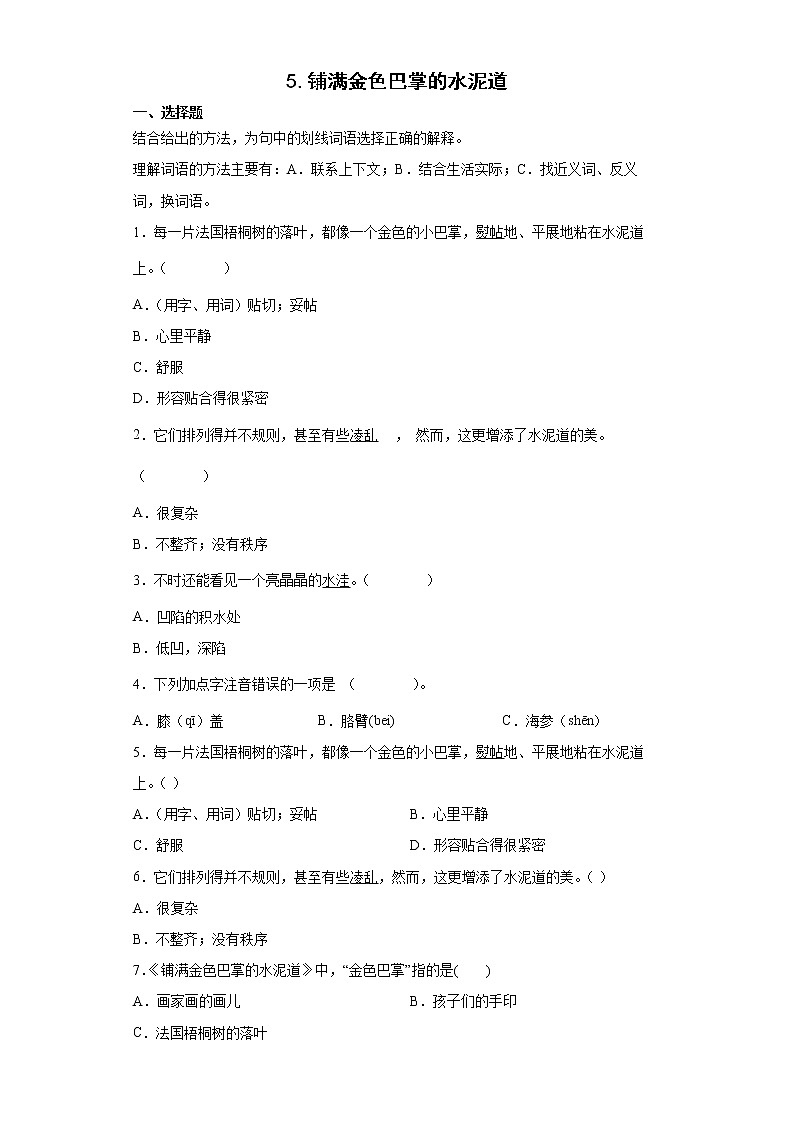 5.铺满金色巴掌的水泥道同步练习试题-2022-2023学年部编版语文三年级上册01