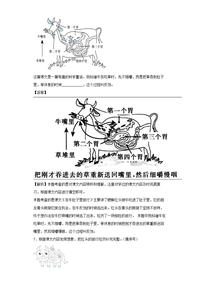 10.在牛肚子里旅行同步练习试题-2022-2023学年部编版语文三年级上册03