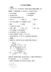小学语文人教部编版三年级上册第三单元10 在牛肚子里旅行当堂达标检测题