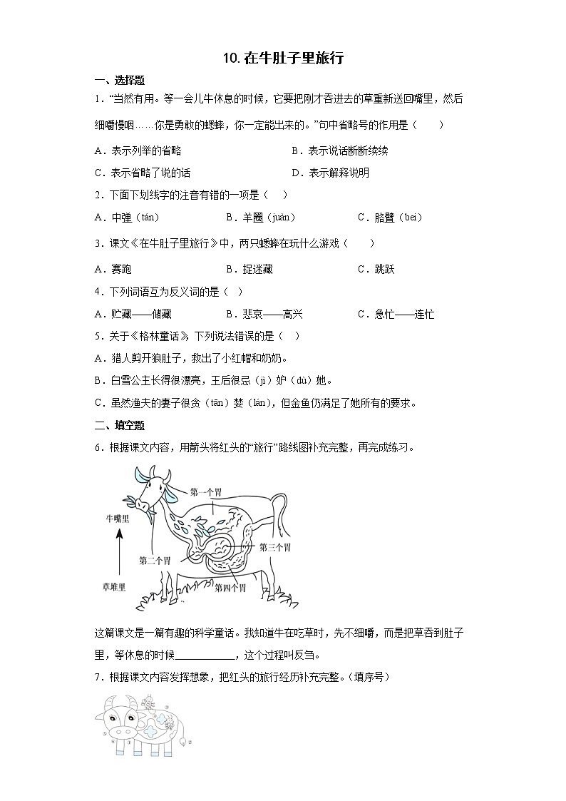 10.在牛肚子里旅行同步练习试题-2022-2023学年部编版语文三年级上册01