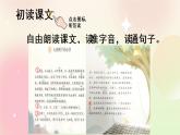 统编版3上语文 1.1 大青树下的小学 课件+教案+练习