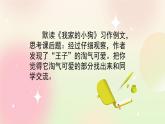 統(tǒng)編版3上語(yǔ)文 5.3 習(xí)作例文 課件+教案+練習(xí)