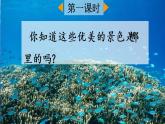 统编版3上语文 6.2 富饶的西沙群岛 课件+教案+练习