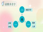 统编版3上语文 6.2 富饶的西沙群岛 课件+教案+练习