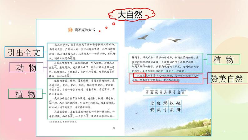 统编版3上语文 7.2 读不完的大书 课件第7页