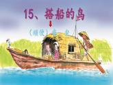 三年级上册语文课件 -15《搭船的鸟》  (共21张PPT)  人教部编版
