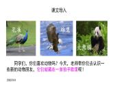 小学语文二年级上册《拍手歌》课件