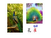 小学语文二年级上册《拍手歌》课件