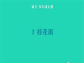 2022五年级语文上册第一单元3桂花雨生字课件新人教版