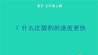 小学语文人教部编版五年级上册7 什么比猎豹的速度更快教学演示ppt课件