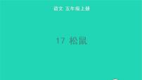 小学语文人教部编版五年级上册17 松鼠教学课件ppt