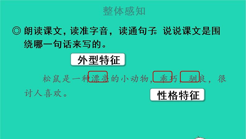 2022五年级语文上册第五单元17松鼠教学课件新人教版08