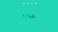 人教部编版五年级上册17 松鼠教课内容ppt课件