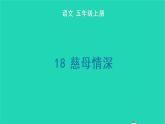 2022五年级语文上册第六单元18慈母情深生字课件新人教版
