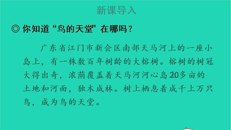 2022五年级语文上册第七单元23鸟的天堂教学课件新人教版02