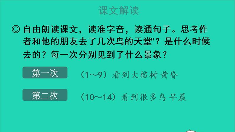 2022五年级语文上册第七单元23鸟的天堂教学课件新人教版08