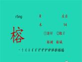 2022五年级语文上册第七单元23鸟的天堂生字课件新人教版
