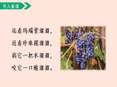 人教部编版小学语文二上：第11课《葡萄沟》课件