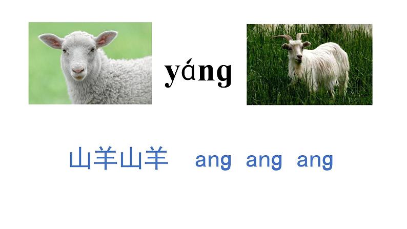 13 ang eng ing ong新授课课件07