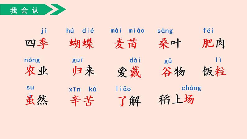 人教部编版小学语文二上：识字4《田家四季歌》课件06