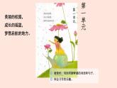 人教部编版语文三上：第1课《大青树下的小学》课件