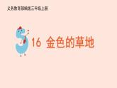 人教部编版语文三上：第16课《金色的草地》课件
