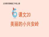 人教部编版语文三上：第20课《美丽的小兴安岭》课件