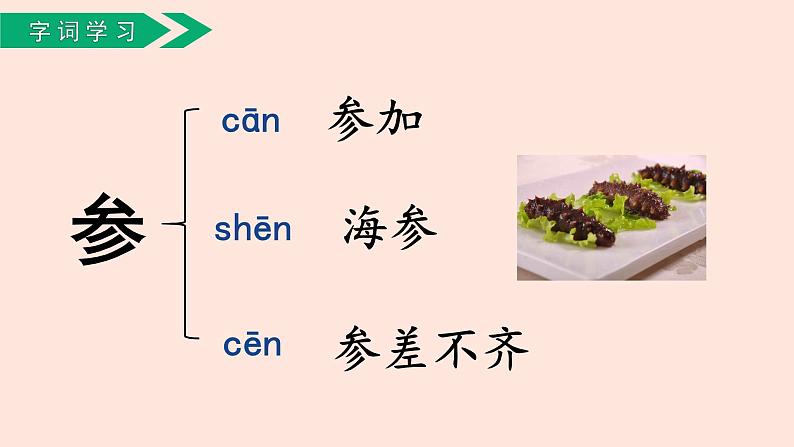 人教部编版语文三上：第18课《富饶的西沙群岛》课件第8页