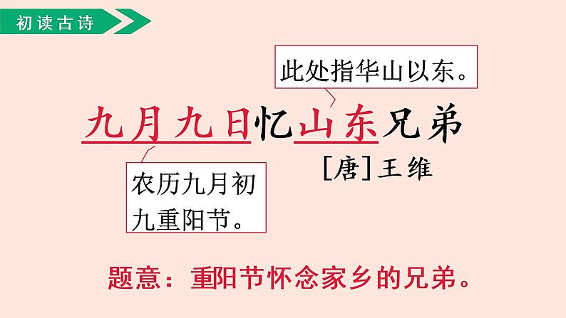 人教部编版语文三下：第9课《古诗三首-九月九日忆山东兄弟》课件02