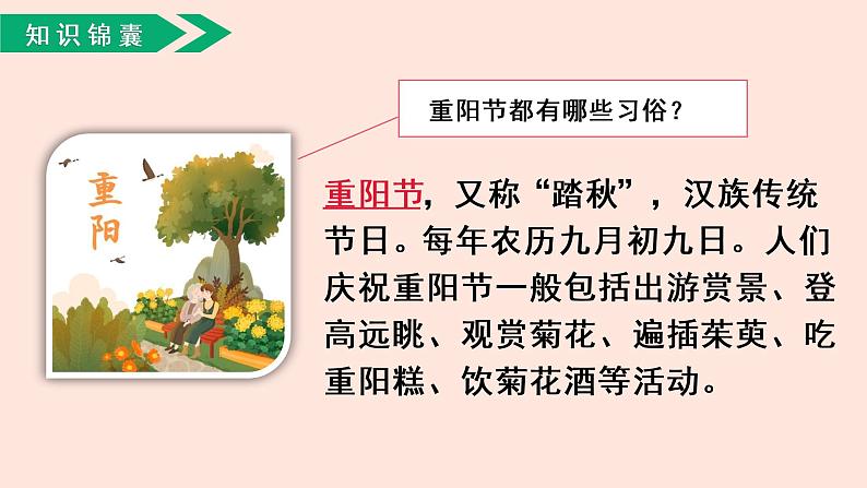 人教部编版语文三下：第9课《古诗三首-九月九日忆山东兄弟》课件05