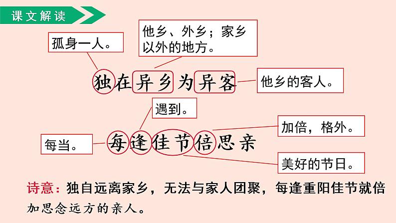 人教部编版语文三下：第9课《古诗三首-九月九日忆山东兄弟》课件06