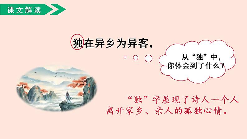 人教部编版语文三下：第9课《古诗三首-九月九日忆山东兄弟》课件07