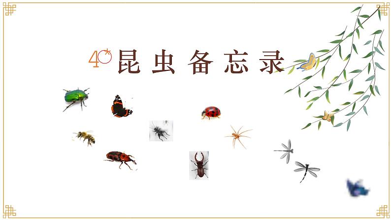 三年级下册语文 4.  《昆虫备忘录》课件02