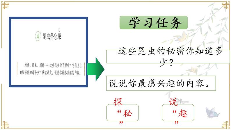 三年级下册语文 4.  《昆虫备忘录》课件04