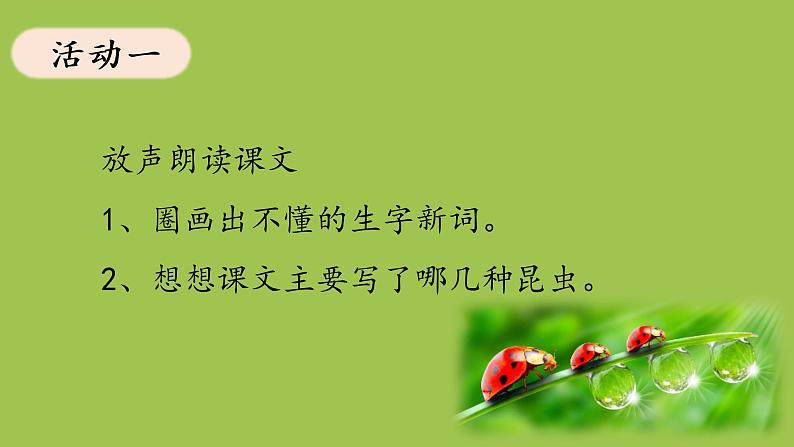 三年级下册语文 4.  《昆虫备忘录》课件05