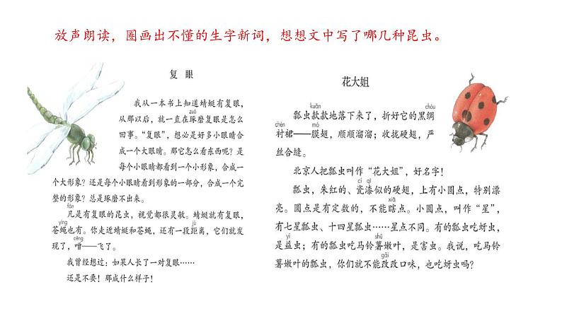 三年级下册语文 4.  《昆虫备忘录》课件06