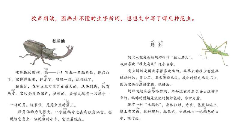 三年级下册语文 4.  《昆虫备忘录》课件07