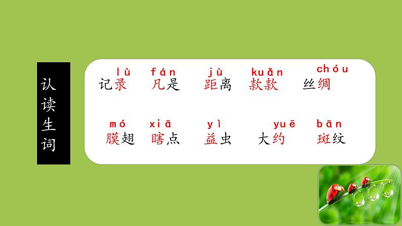三年级下册语文 4.  《昆虫备忘录》课件08