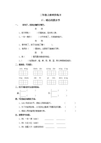 小学人教部编版17 难忘的泼水节课后测评