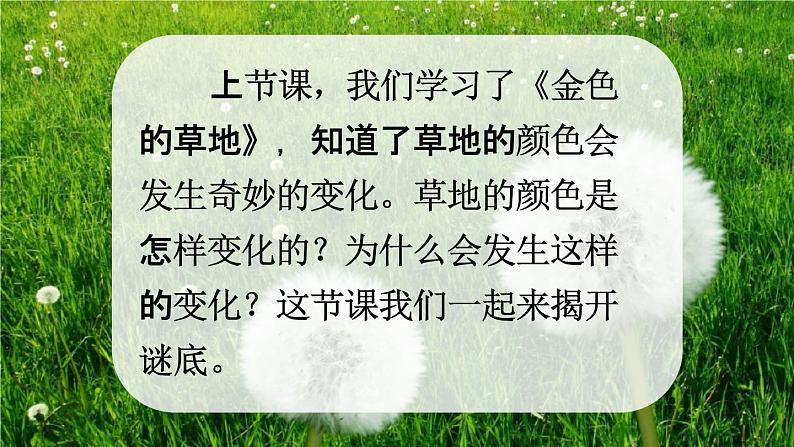 人教统编版三年级语文上册《16 金色的草地 第2课时》课堂教学课件PPT小学公开课第2页