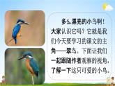 人教统编版三年级语文上册《15 搭船的鸟 第1课时》课堂教学课件PPT小学公开课