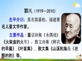 人教统编版三年级语文上册《15 搭船的鸟 第1课时》课堂教学课件PPT小学公开课
