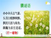 人教统编版三年级语文上册《16 金色的草地 第1课时》课堂教学课件PPT小学公开课